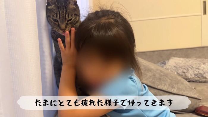 ペロペロ