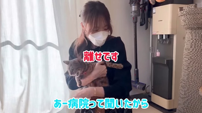 逃げようとする猫