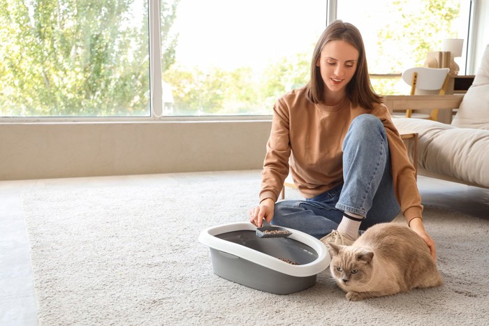 トイレ掃除する女性と猫