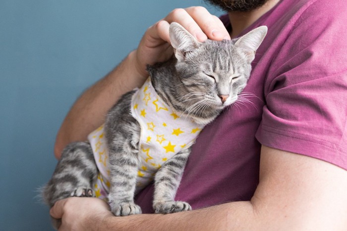 服を着せられている子猫
