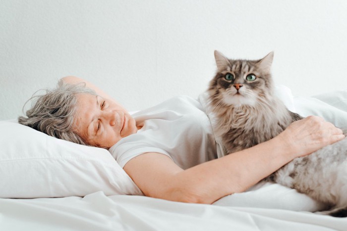 高齢の女性を起こしに来た猫