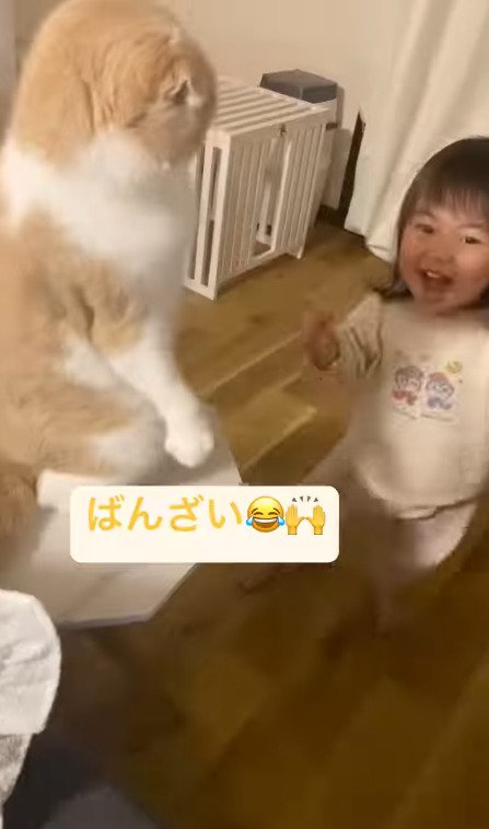 猫と遊べて喜ぶ娘さん