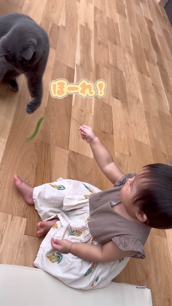 猫を遊ばせる赤ちゃん