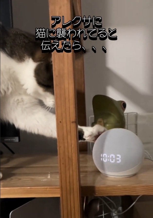 音声アシスタントを触るノアくん