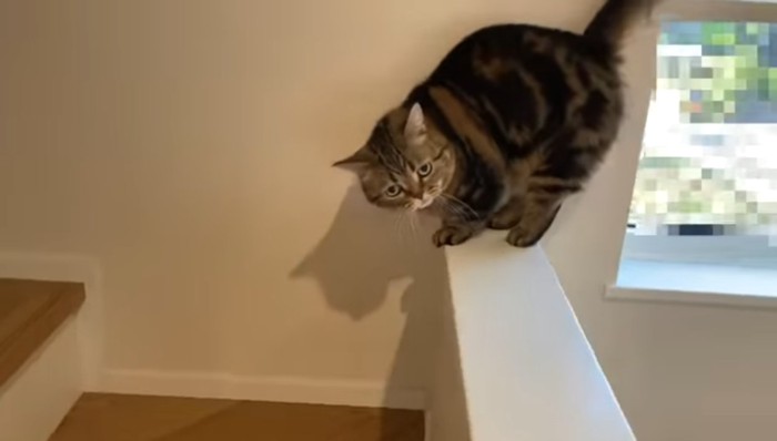 お尻を上げたポーズ