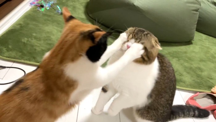 両目に手が