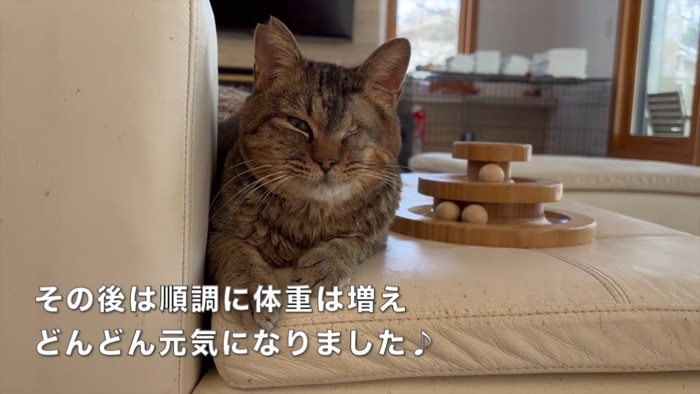 テロップ「その後は順調に~」