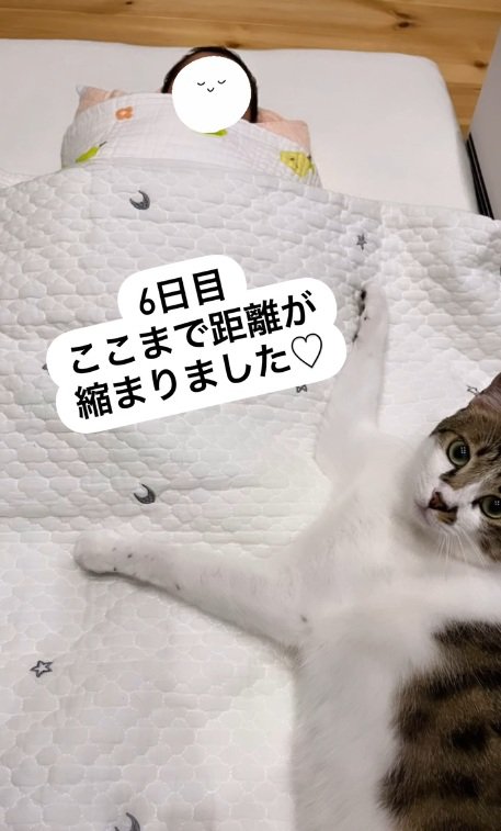 寝ている赤ちゃんのそばで横になる白黒猫