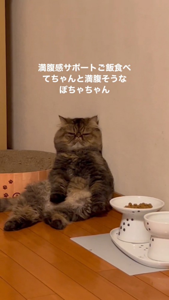 表情のアップ