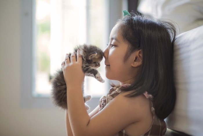 子猫と子供