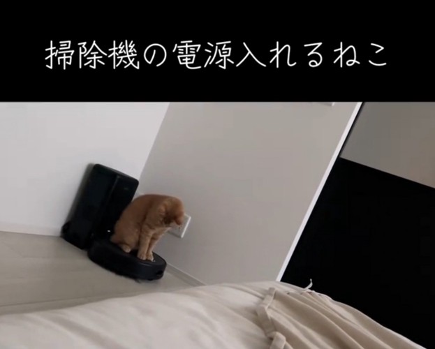 ロボットに乗る猫