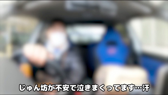 飼い主の運転する車の中で、大声で鳴く猫