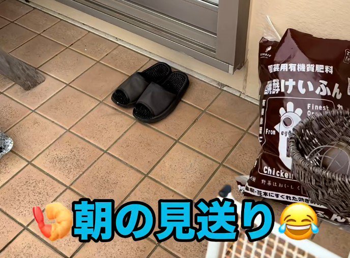 「朝の見送り」と書かれた猫なし写真(スプレッドシートの指示通り)