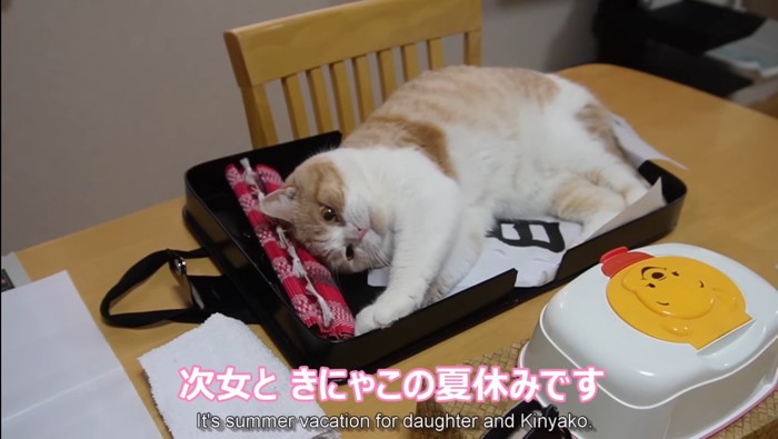 夏休みです