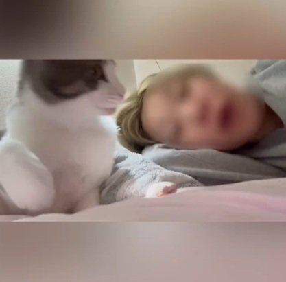 なんで?