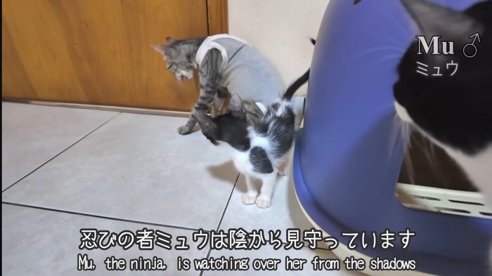 陰から