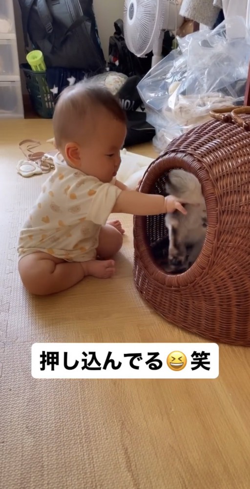 最後まで押し切った赤ちゃん