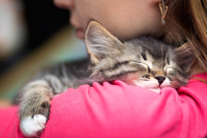 女性に抱かれて目をつぶっている子猫