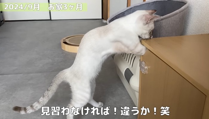 お家3か月