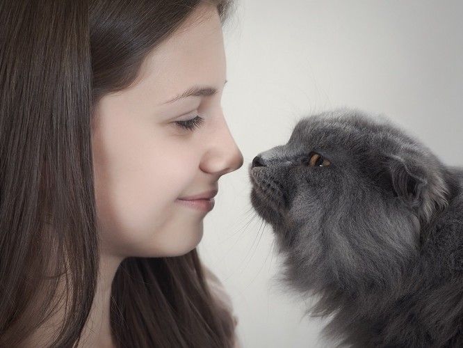 女性の顔の匂いを嗅ぐ猫