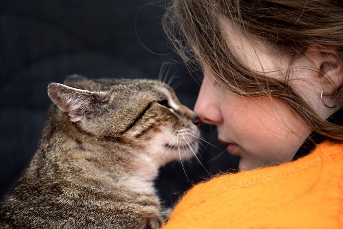 顔を寄せている女性と猫