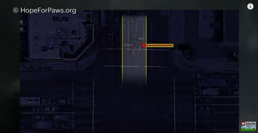 下水道の見取り図