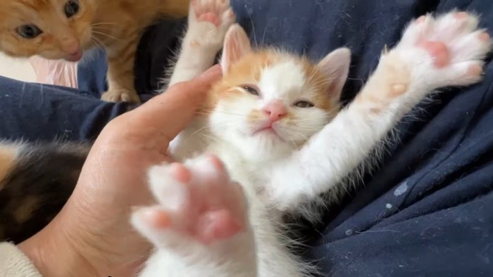 バンザイ