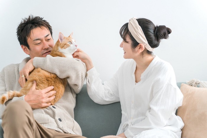 家で猫を飼う飼い主たち