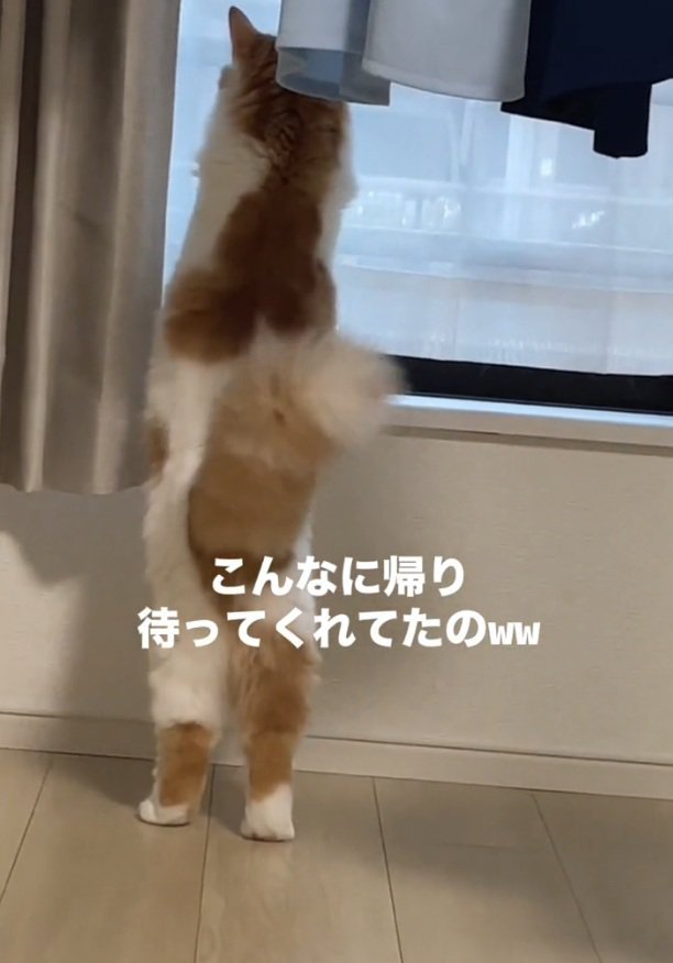 帰りを待つポテくん
