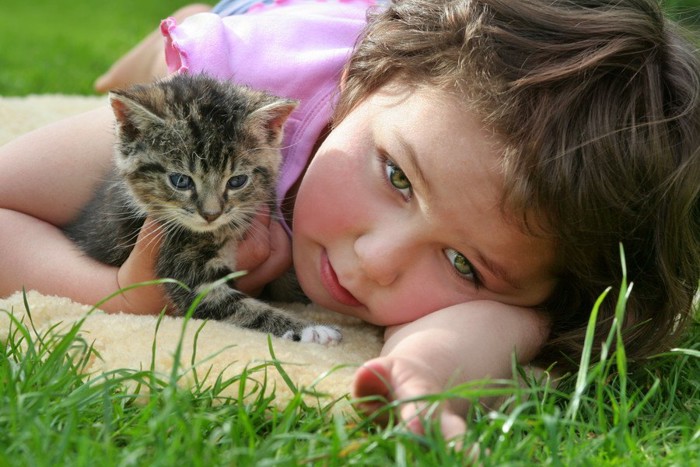 子どもと猫