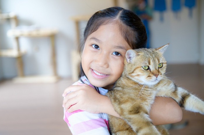 子供に抱っこされて我慢する猫