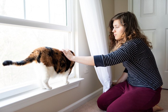 窓際にいる飼い主と猫