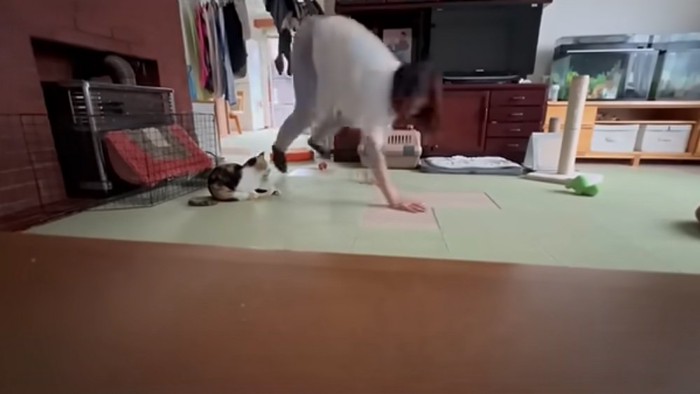 四足歩行で駆ける母