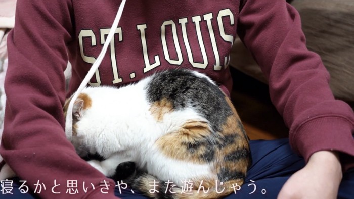 「寝るかと思いきや...」のテロップ写真