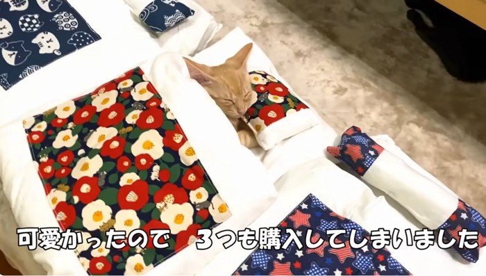 3組の猫用のお布団