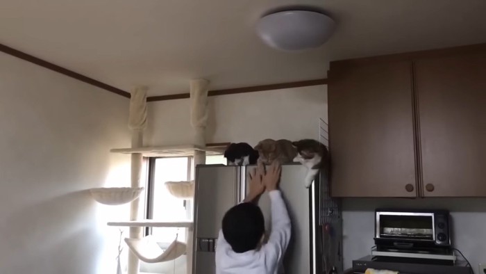 3匹並んで