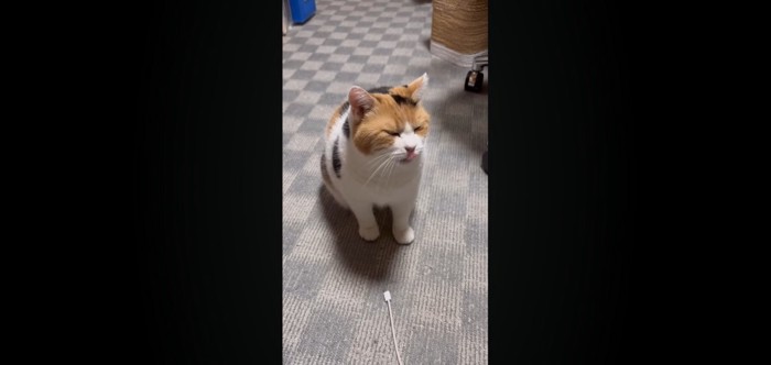 ペロッ