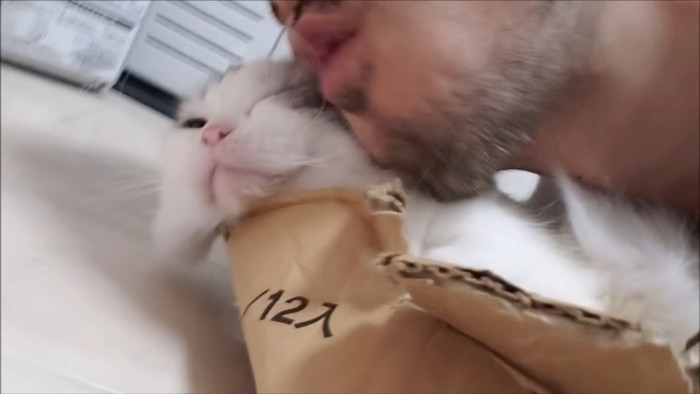 片目を瞑る猫にキスをしようとする男性