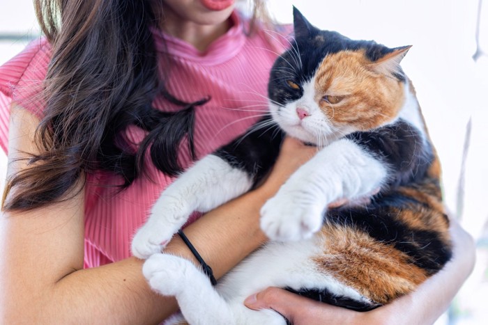 すごく嫌そうな抱っこされている猫