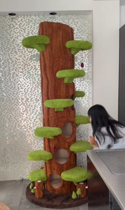 落ちる猫を抱きとめる女の子