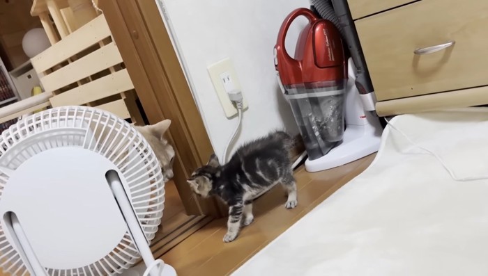 急接近