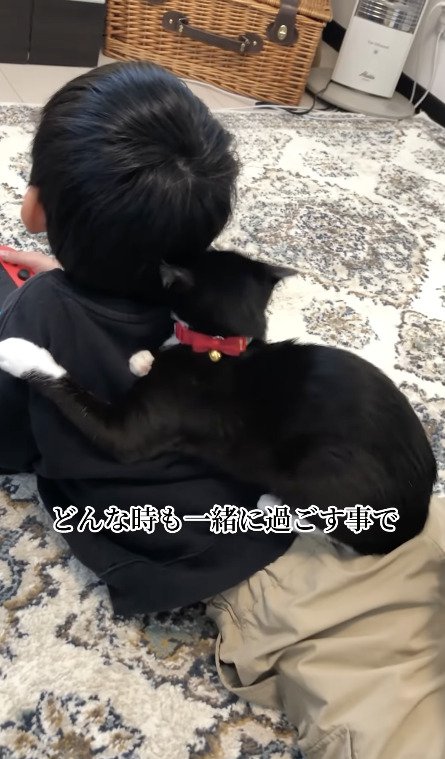 お兄ちゃんの上に乗って寝転ぶ猫