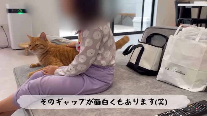 テロップ「そのギャップが~」