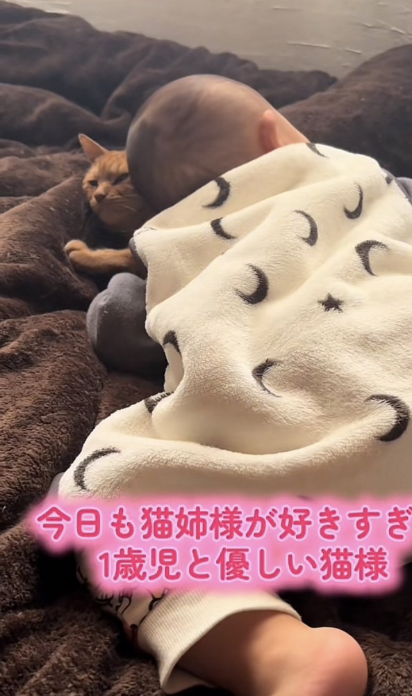 「今日も猫姉様が...」のテロップ写真2