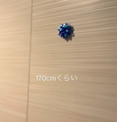 壁に貼られたリボン（170㎝)