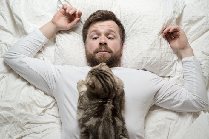 ヒゲの男性を起こす猫