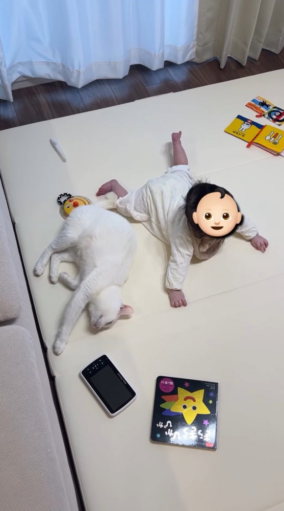 赤ちゃんの隣で横になる猫