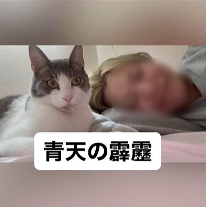 青天の霹靂