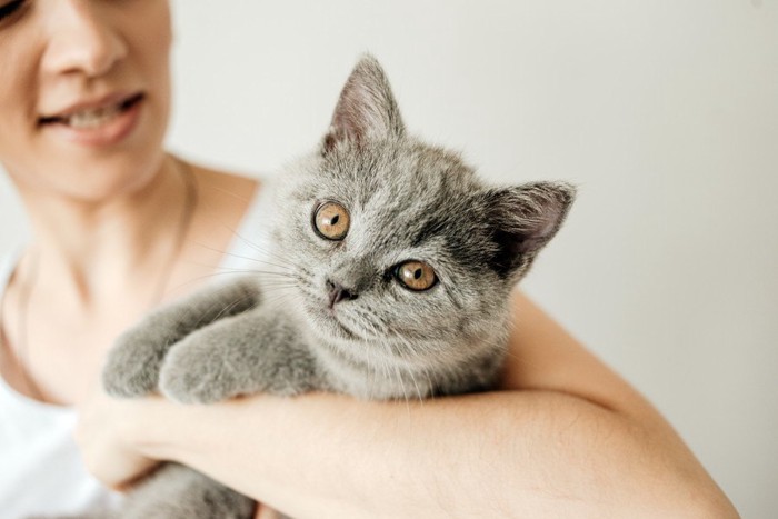 女性の腕に抱かれる猫