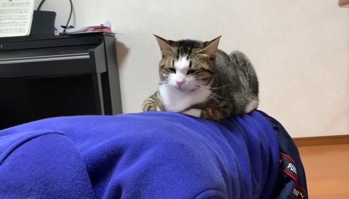 眠そうな表情